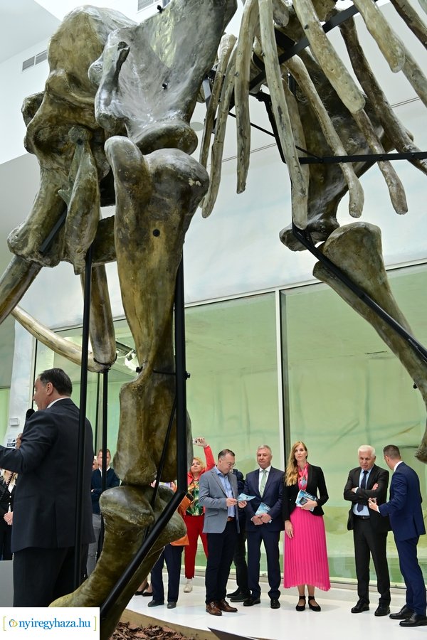 Jégvilág átadó 2024