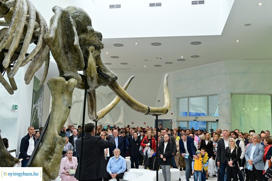 Jégvilág átadó 2024