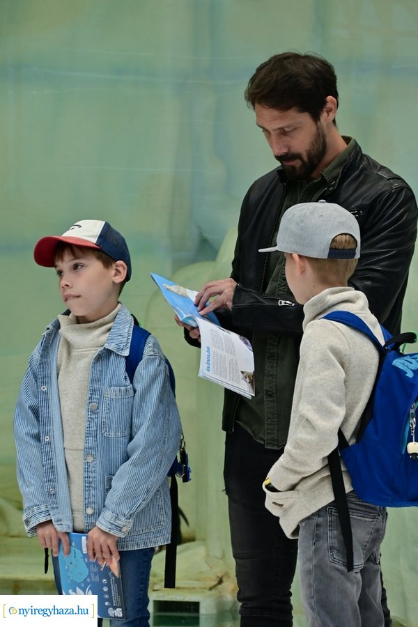 Jégvilág átadó 2024