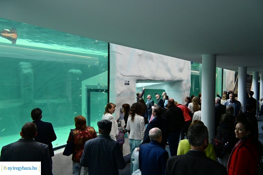 Jégvilág átadó 2024