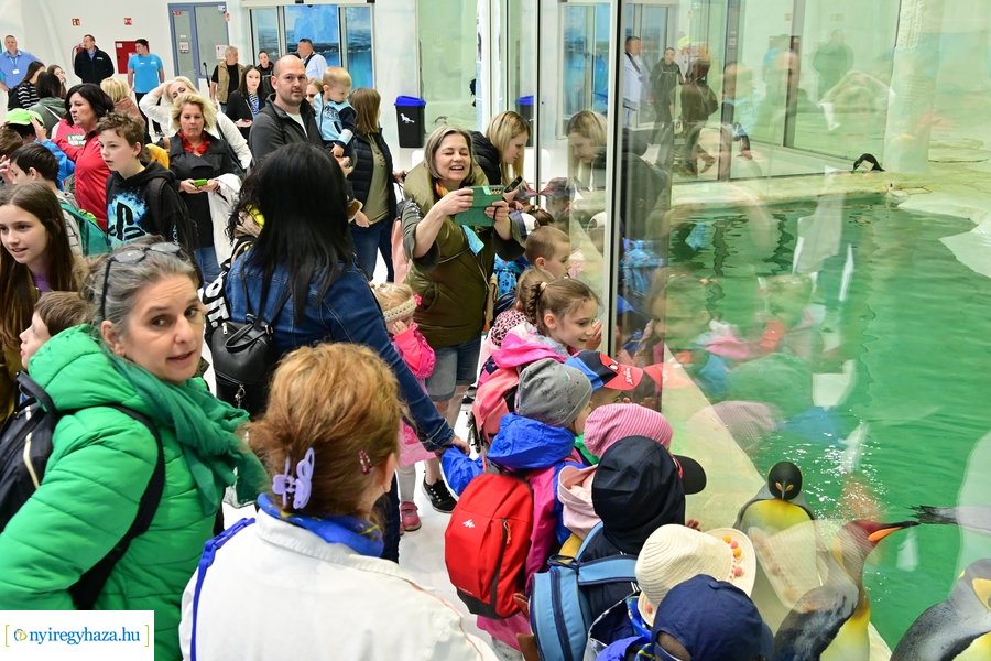 Jégvilág átadó 2024