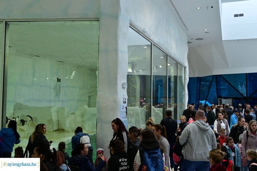 Jégvilág átadó 2024