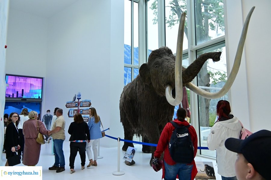 Jégvilág átadó 2024