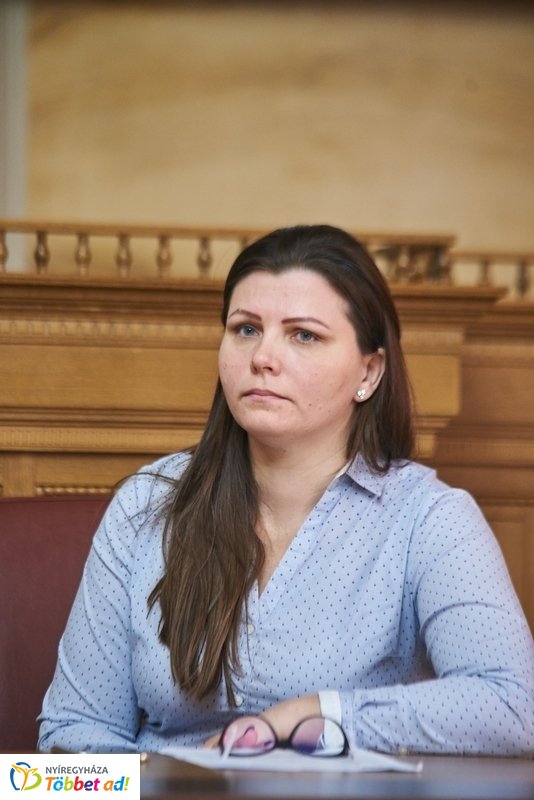 Jelzőrendszeri szakmai tanácsadás 20190226