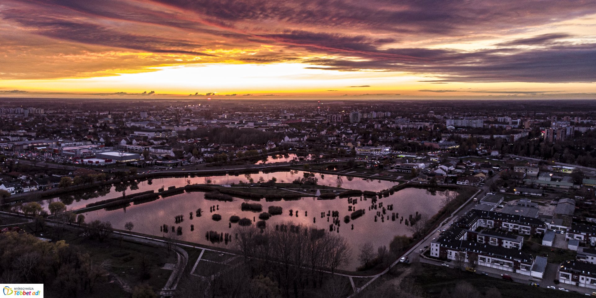 Jó éjszakát Bujtos!