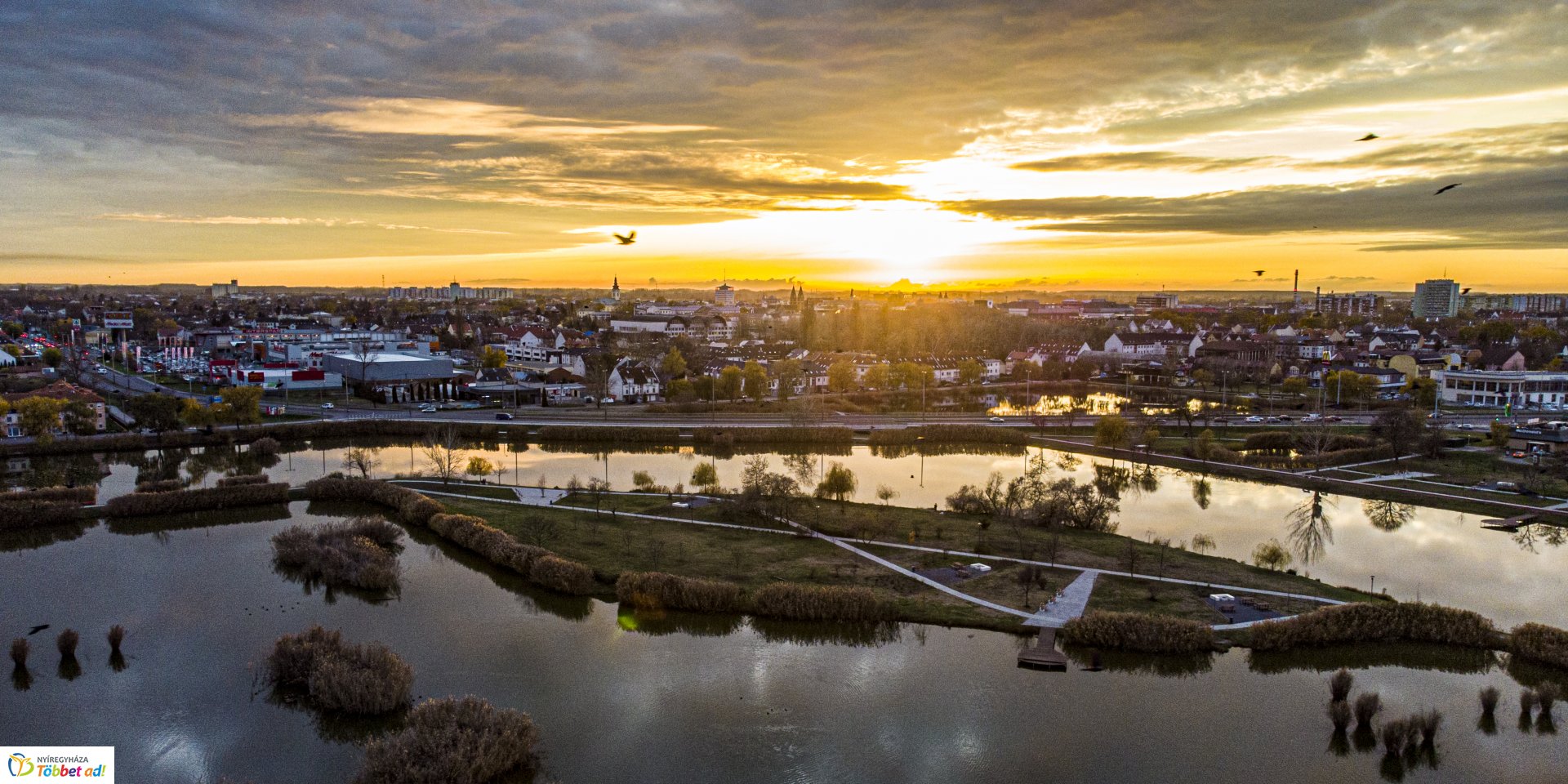 Jó éjszakát Bujtos!