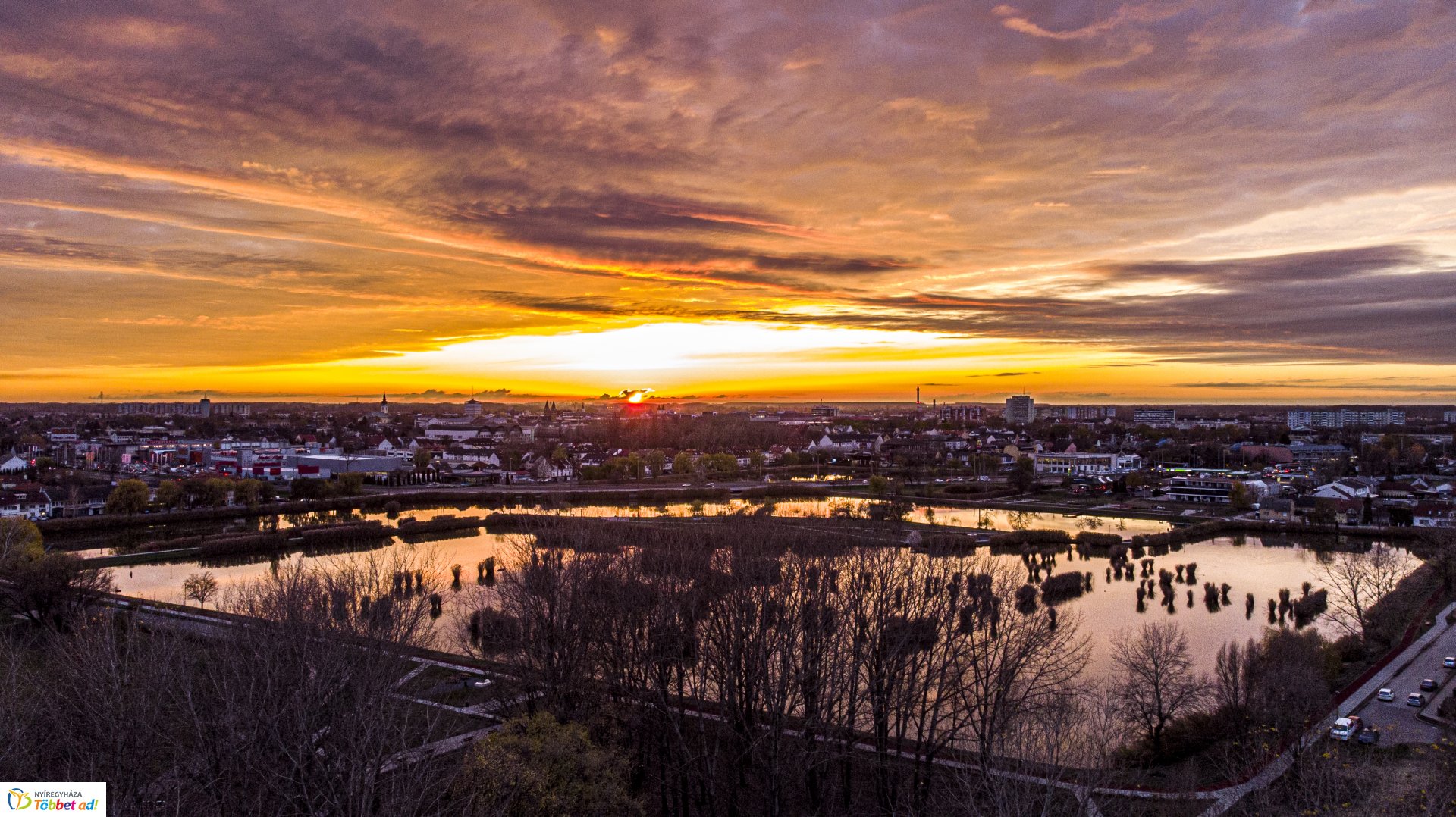 Jó éjszakát Bujtos!