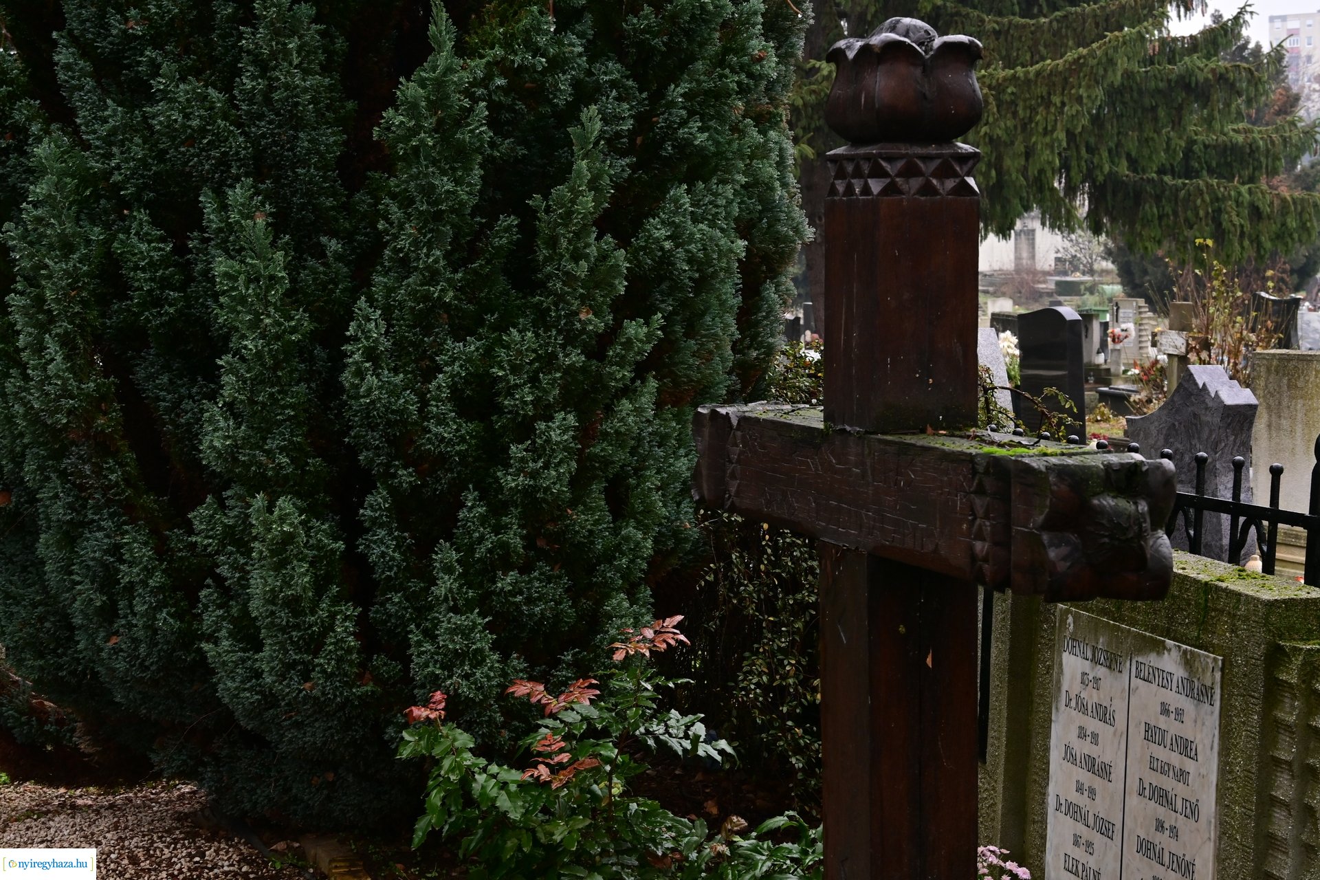 Jósa András Múzeum Napja 2024