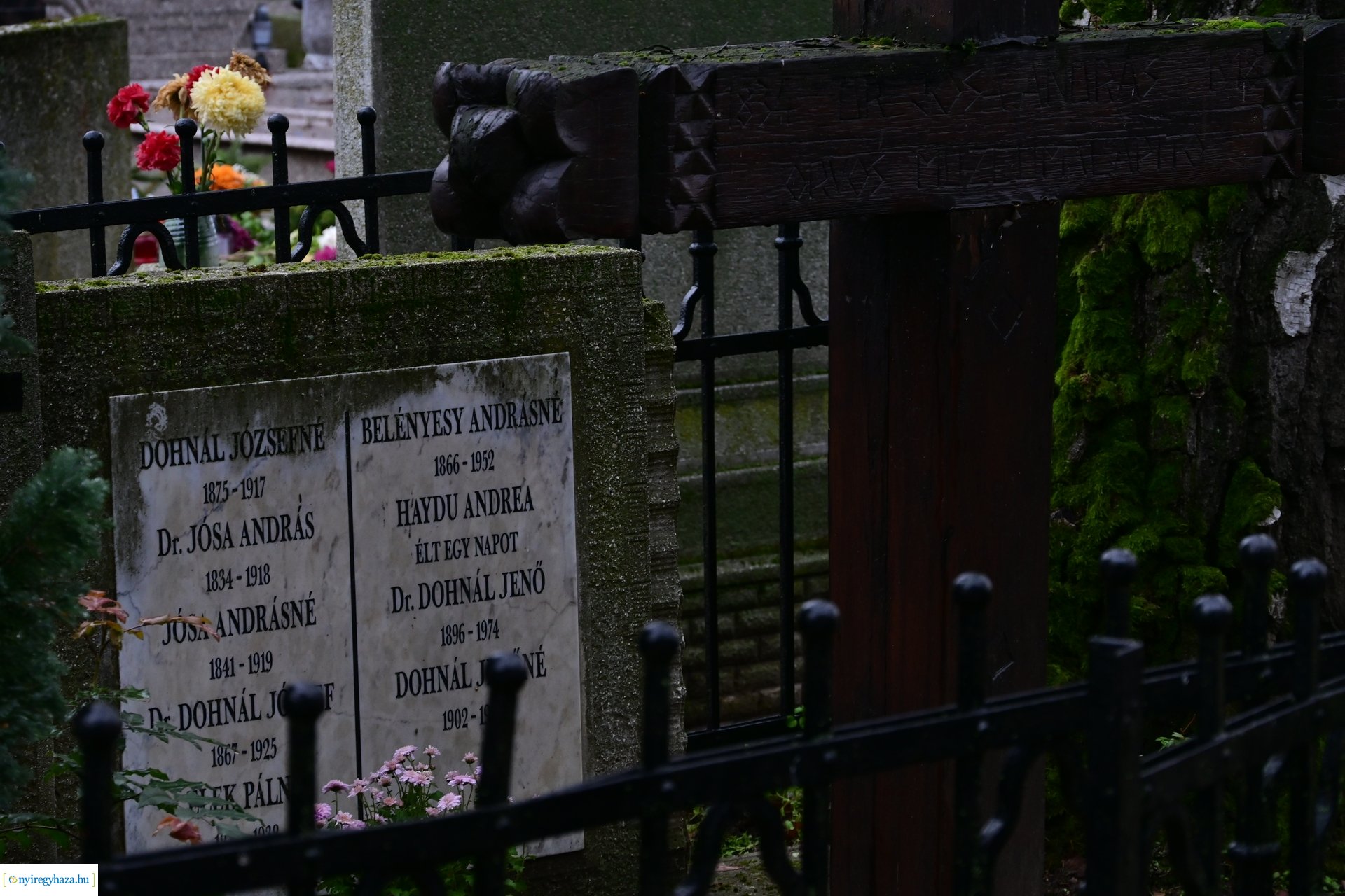 Jósa András Múzeum Napja 2024