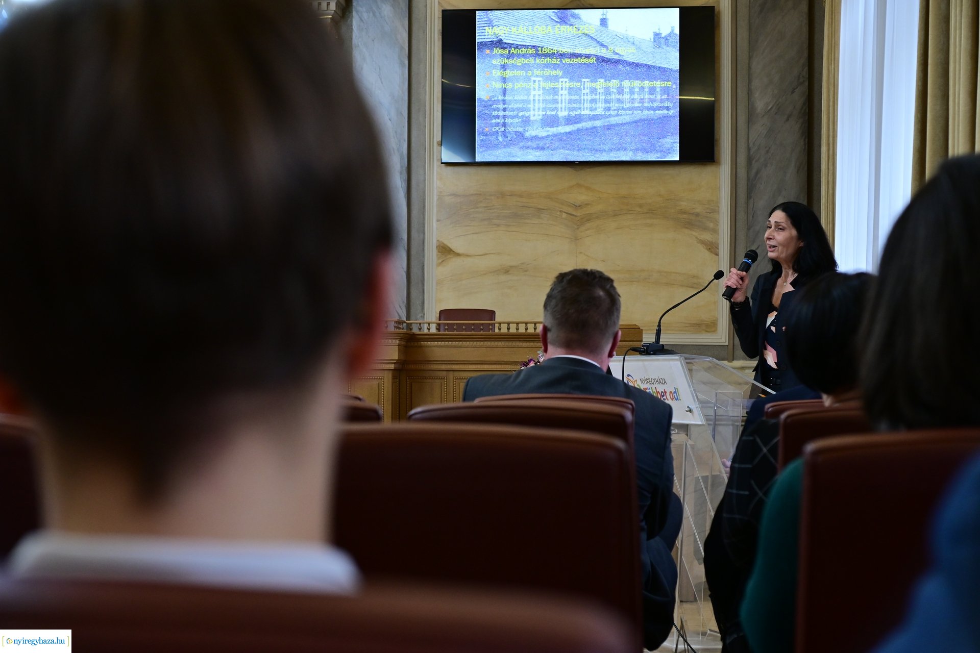 Jósa András Múzeum Napja 2024