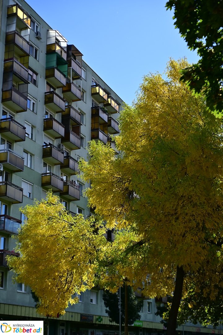 Jósaváros arca 2025 októberében