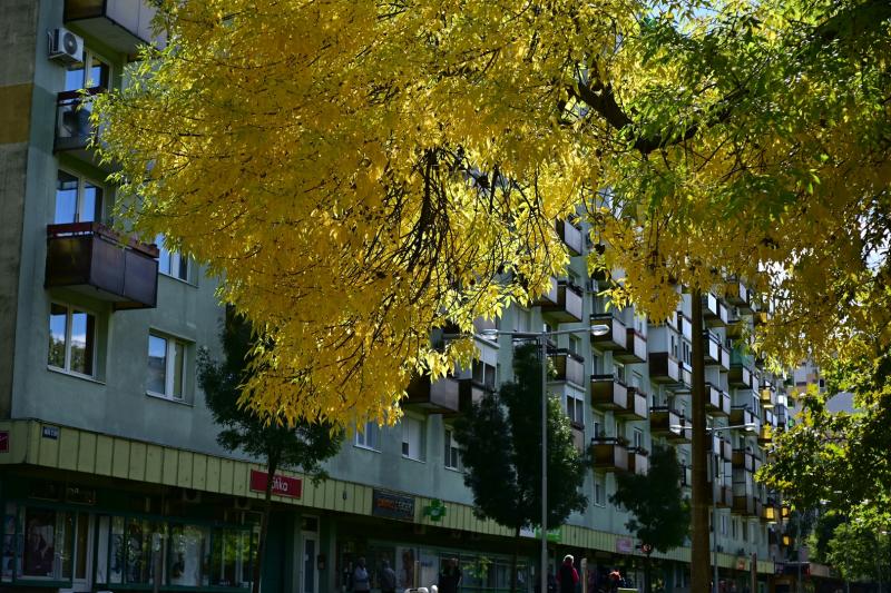 Jósaváros arca 2025 októberében