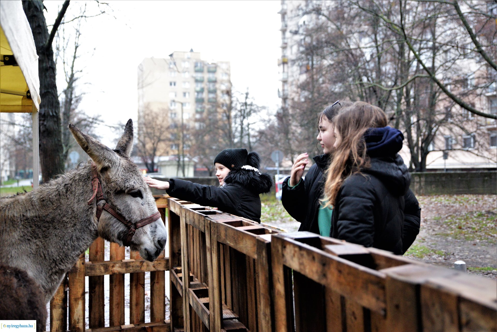 Jósavárosi advent 2022