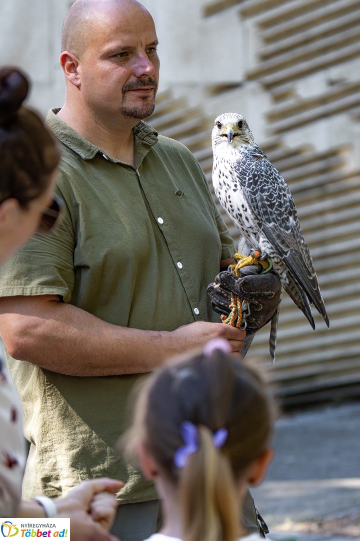Jósavárosi napok - második nap