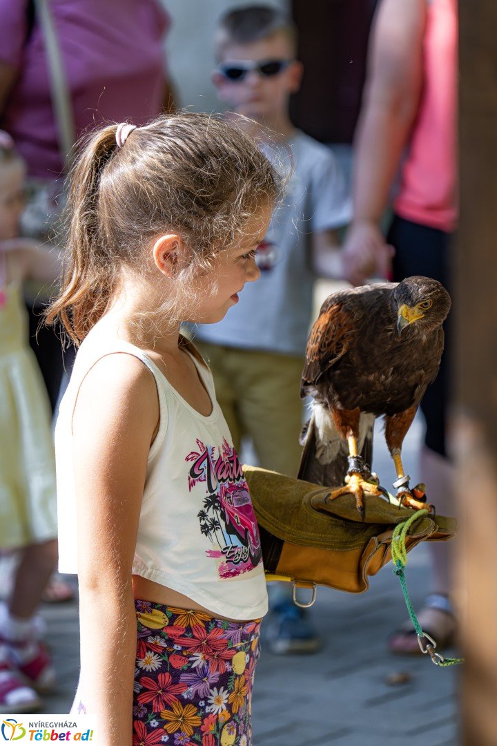 Jósavárosi napok - második nap