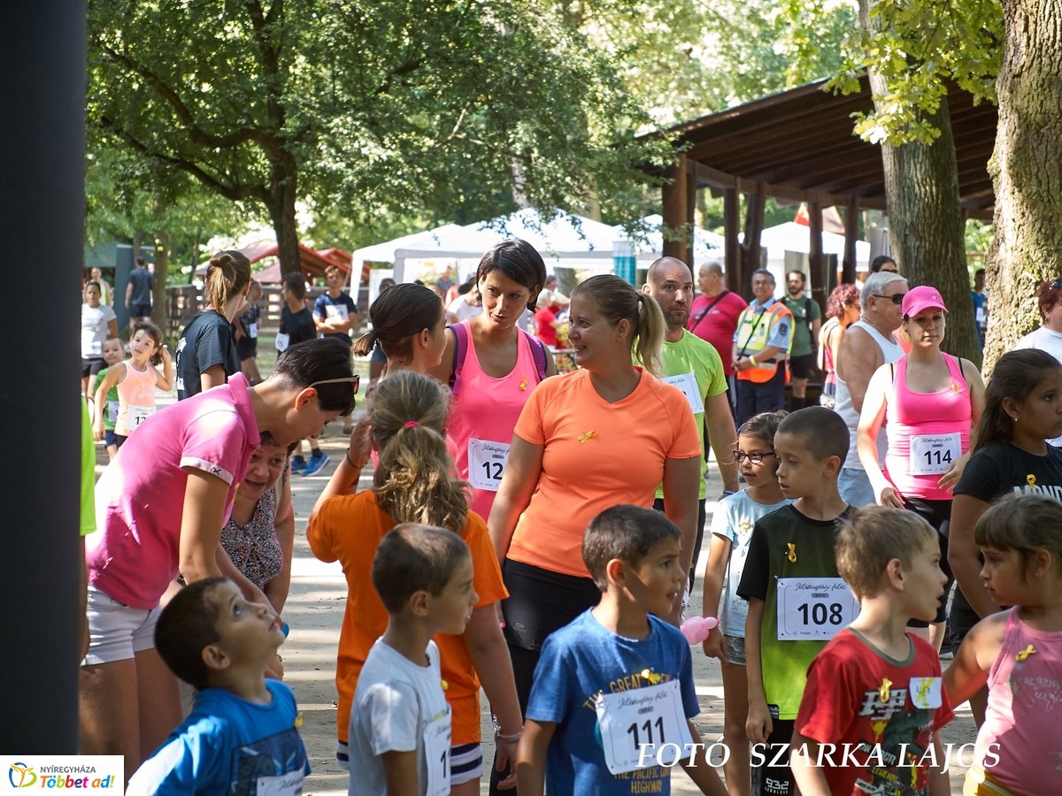 Jótékonysági futás az Erdei Tornapályán
