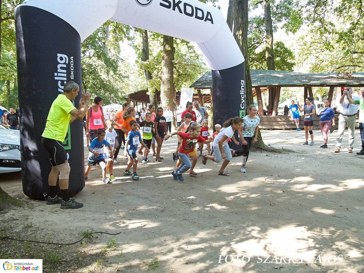 Jótékonysági futás az Erdei Tornapályán
