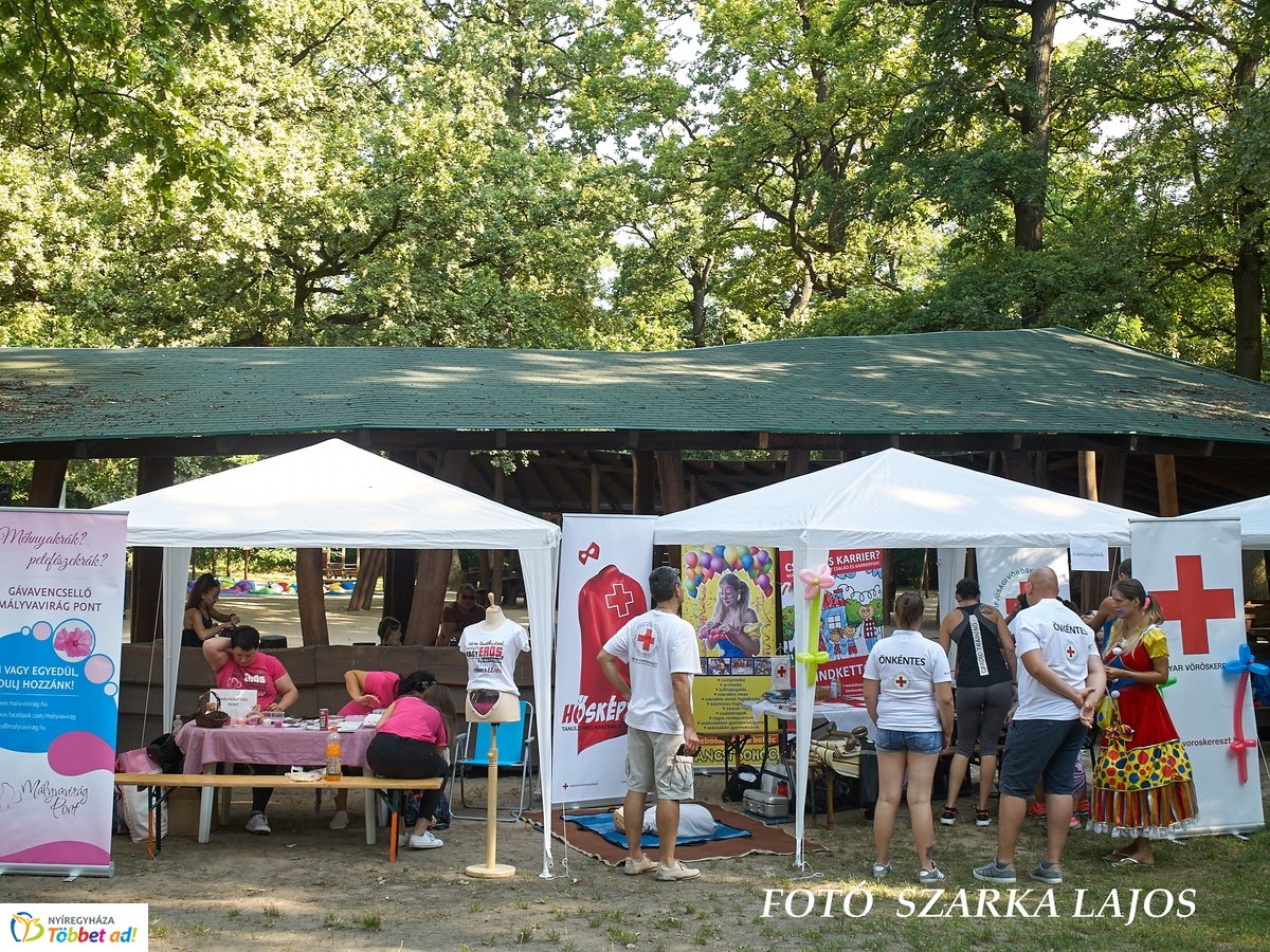 Jótékonysági futás az Erdei Tornapályán
