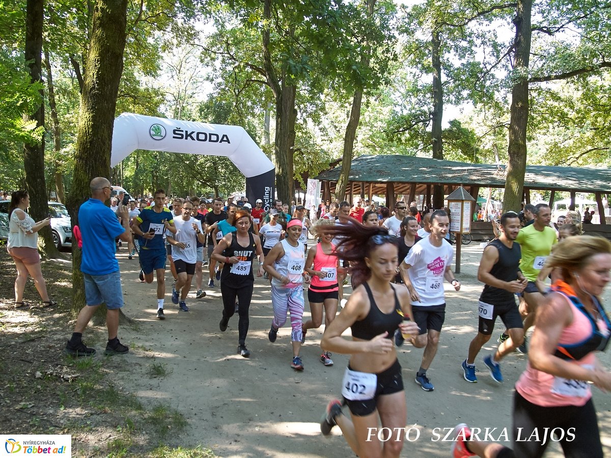 Jótékonysági futás az Erdei Tornapályán