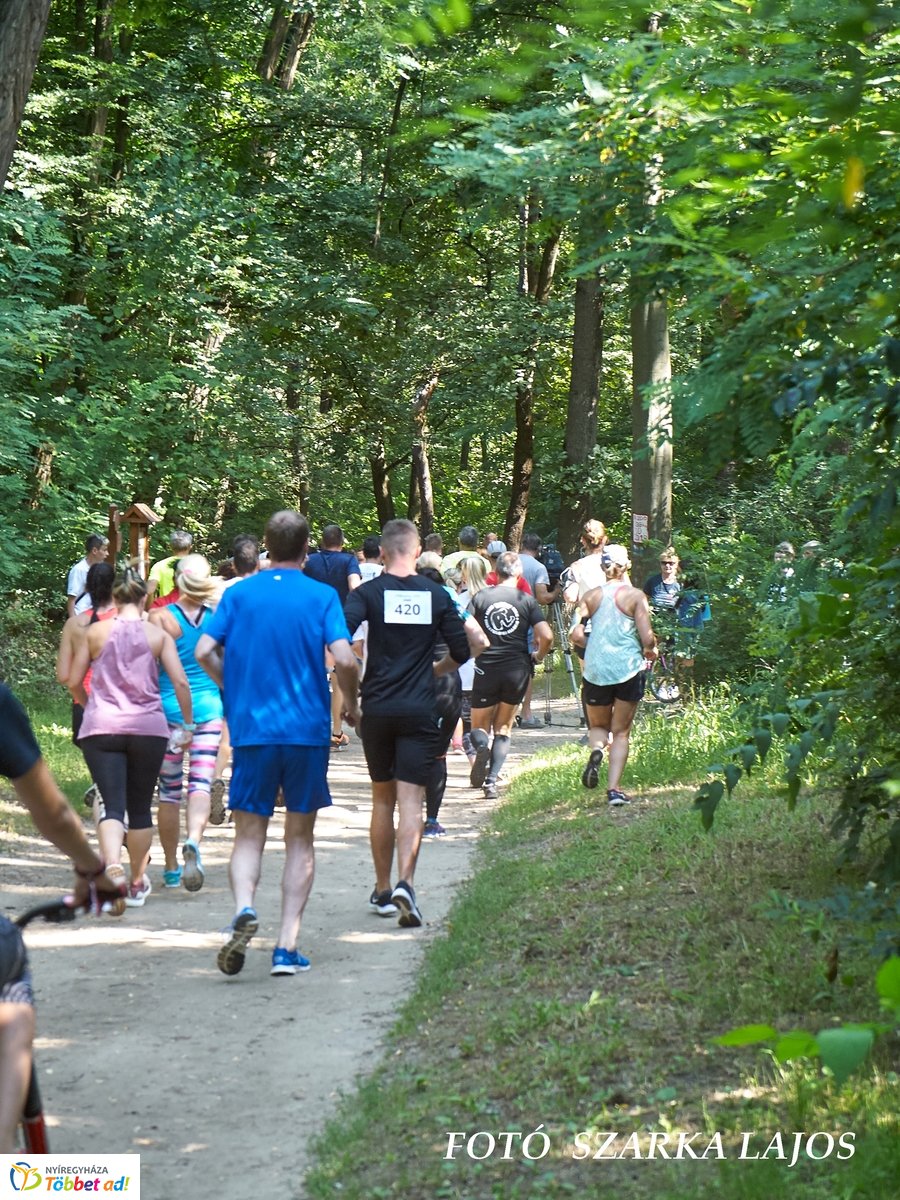 Jótékonysági futás az Erdei Tornapályán