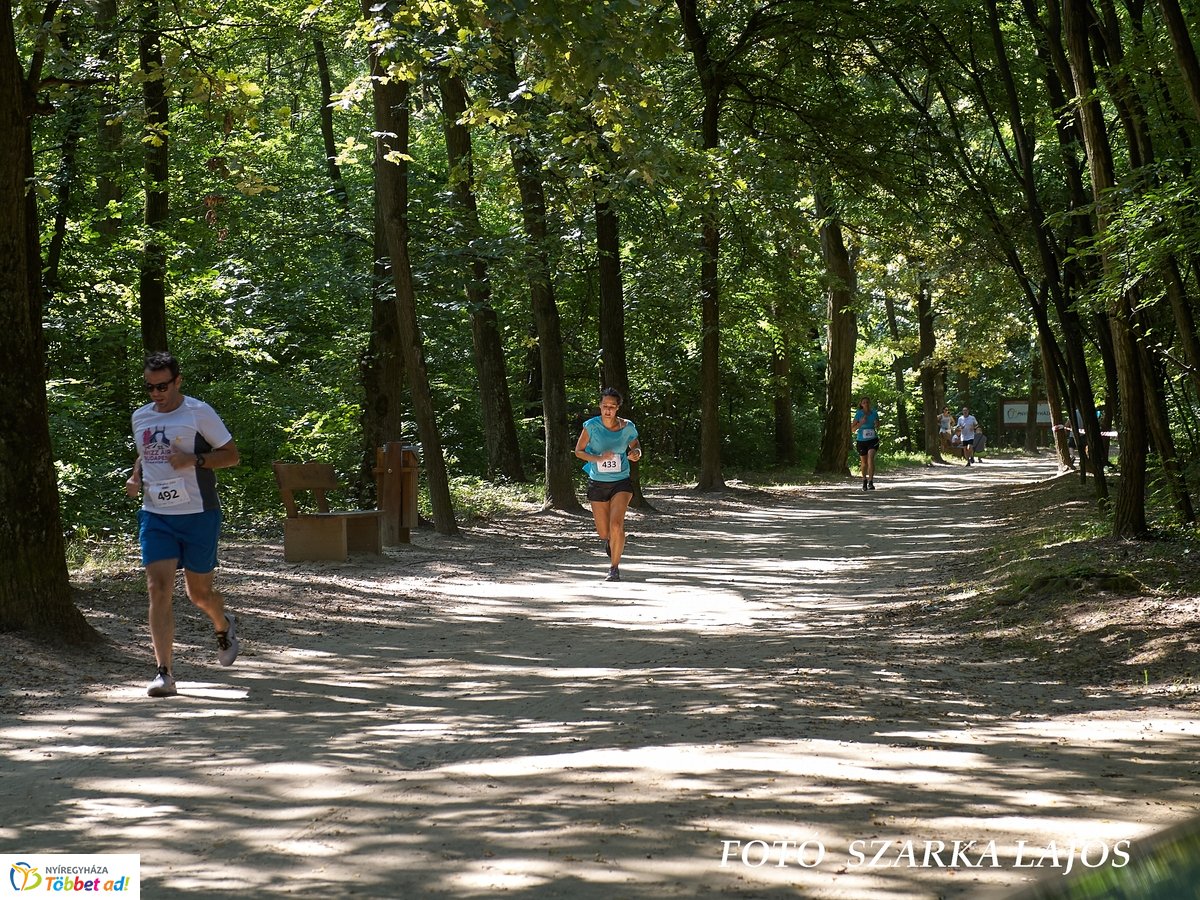 Jótékonysági futás az Erdei Tornapályán
