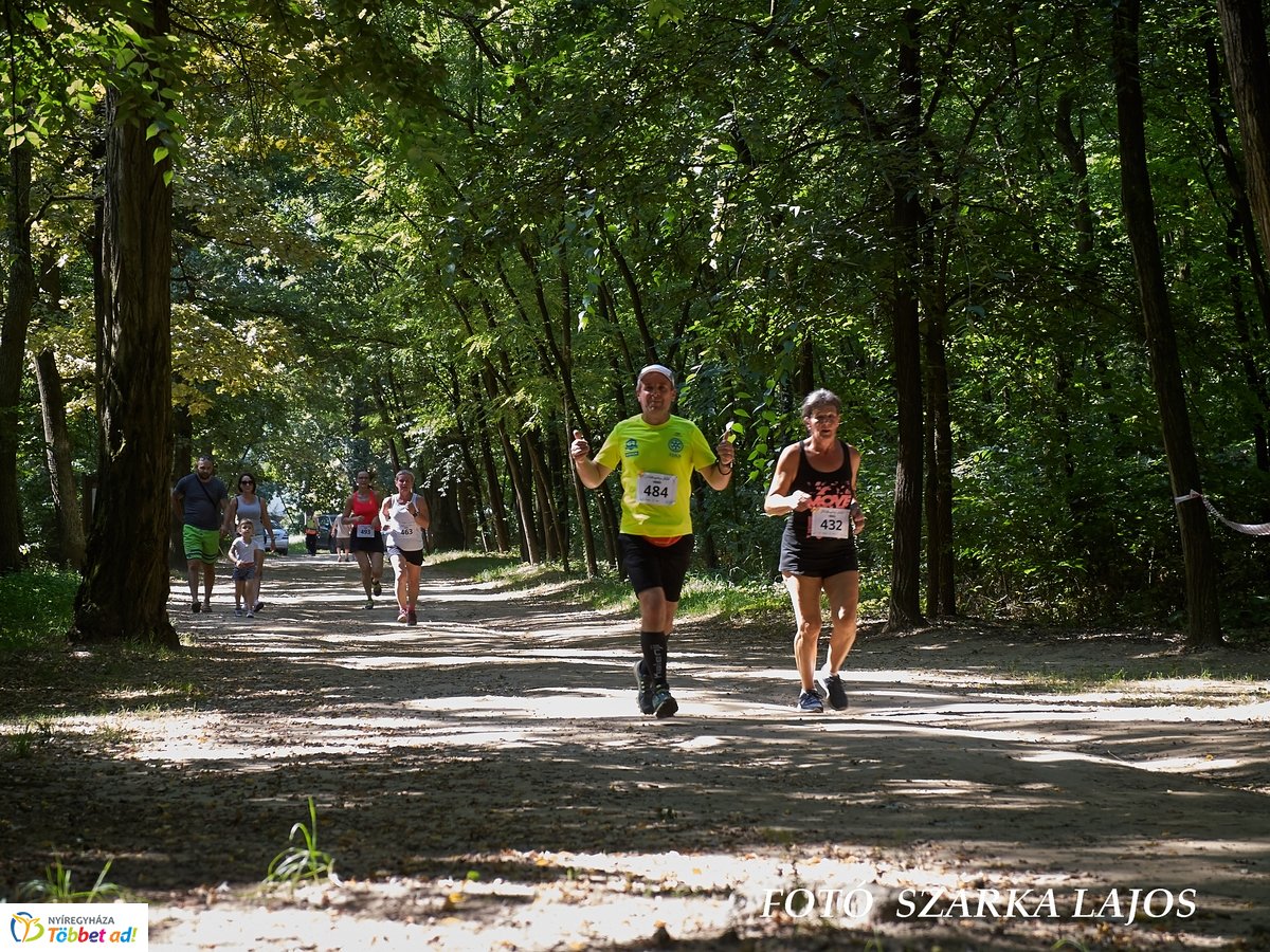 Jótékonysági futás az Erdei Tornapályán