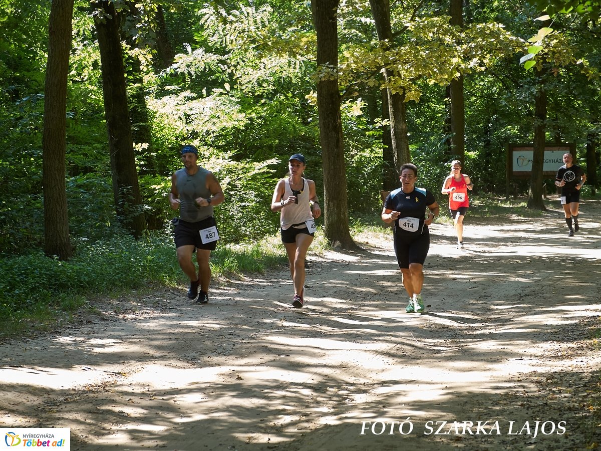 Jótékonysági futás az Erdei Tornapályán
