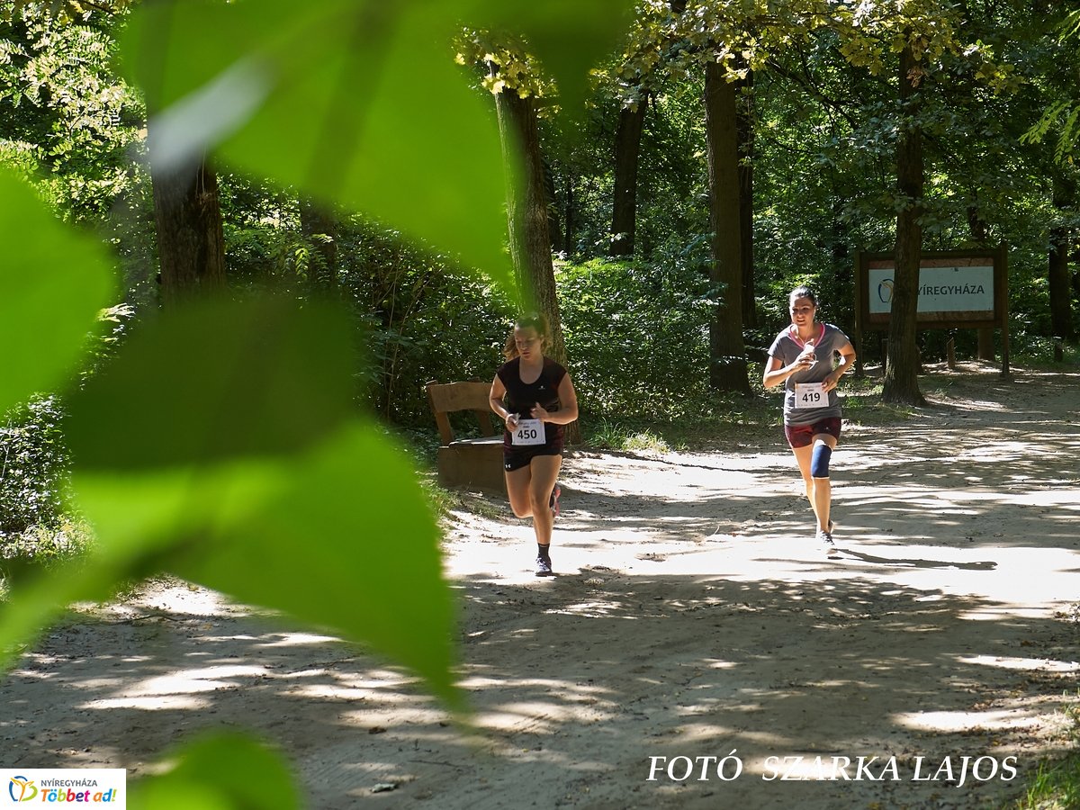 Jótékonysági futás az Erdei Tornapályán