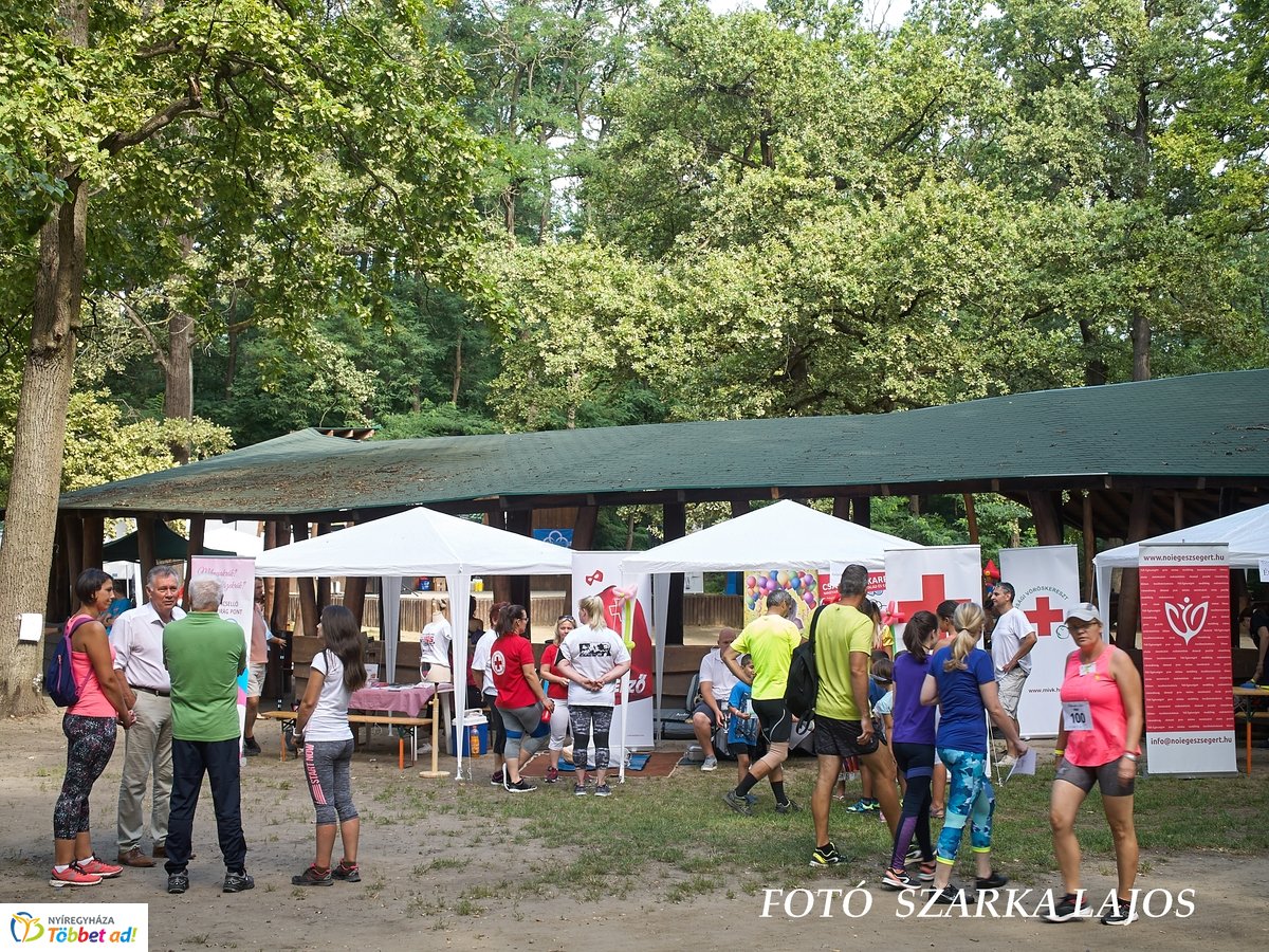 Jótékonysági futás az Erdei Tornapályán