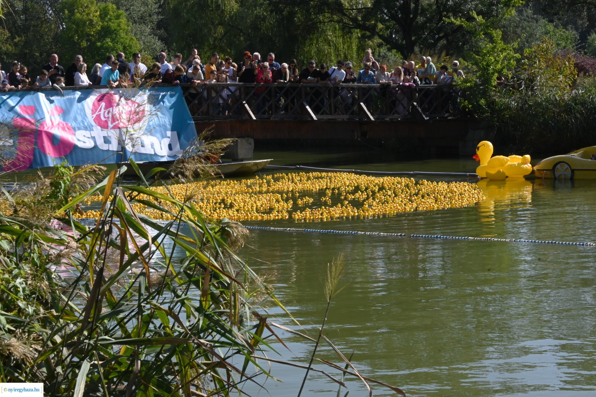 Jótékonysági kacsa úsztatás Sóstón