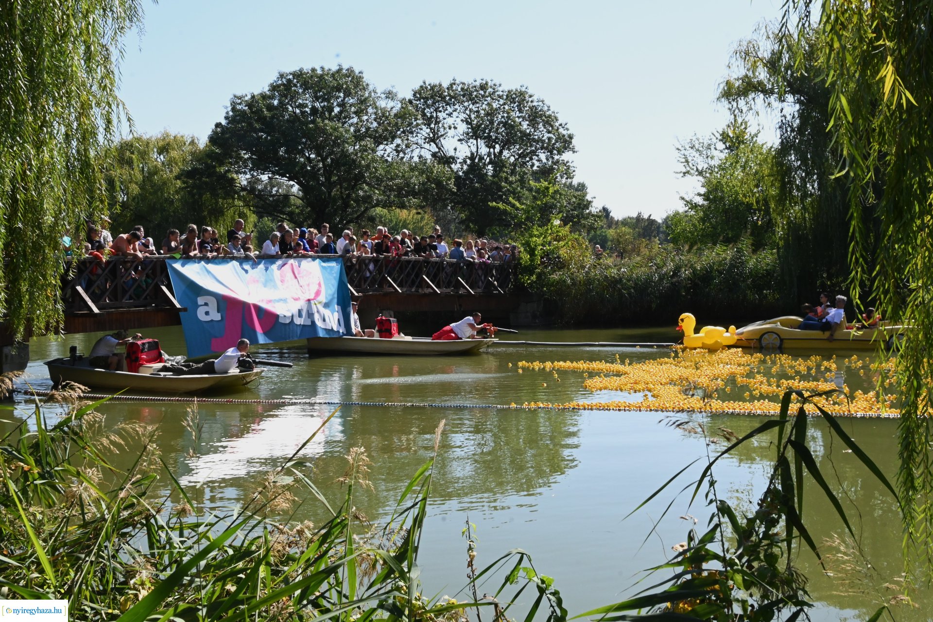 Jótékonysági kacsa úsztatás Sóstón