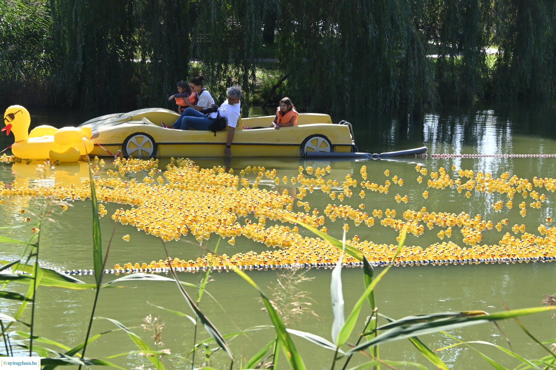 Jótékonysági kacsa úsztatás Sóstón