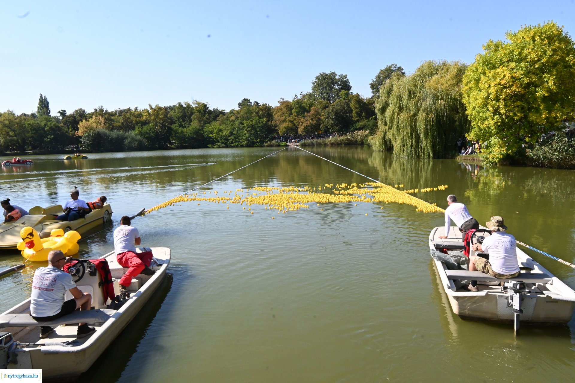 Jótékonysági kacsa úsztatás Sóstón