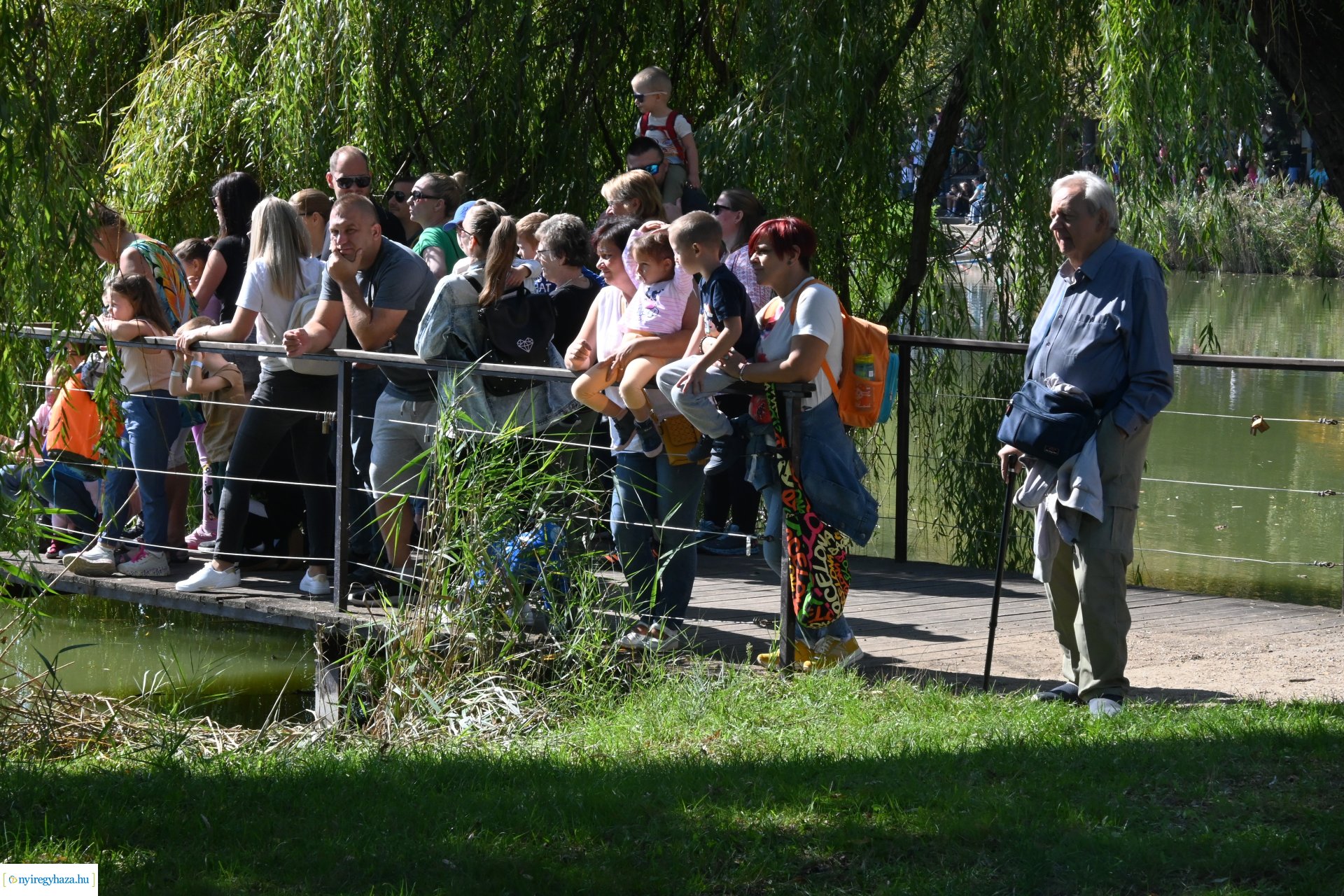 Jótékonysági kacsa úsztatás Sóstón