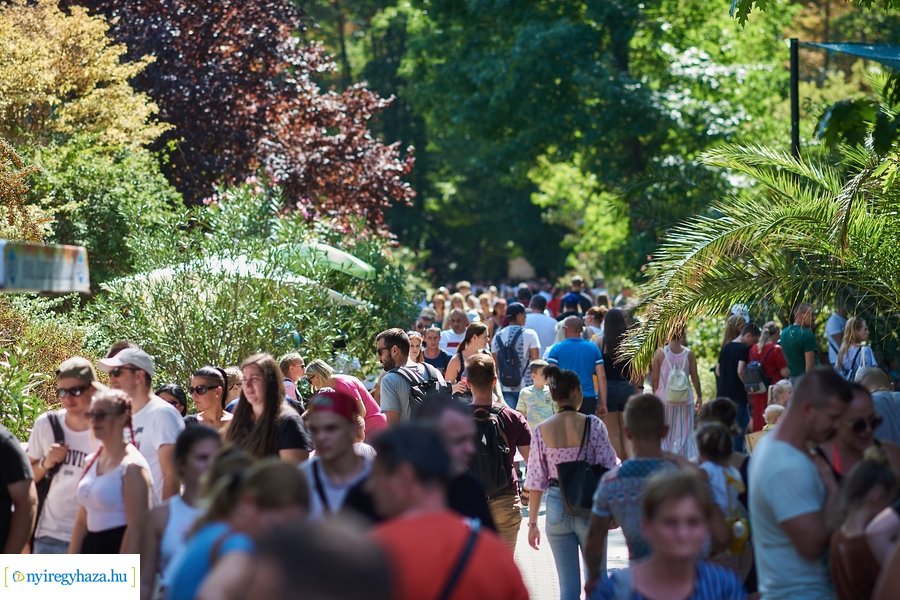 Jubilált a Nyíregyházi Állatpark