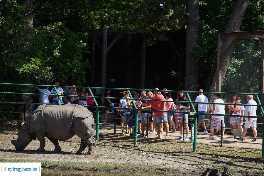 Jubilált a Nyíregyházi Állatpark