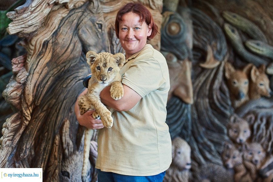 Jubilált a Nyíregyházi Állatpark