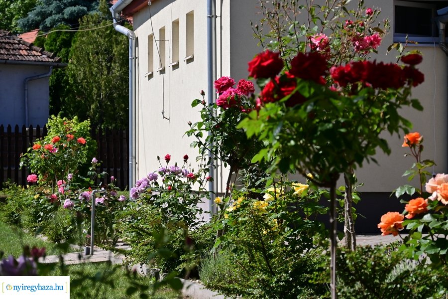 Jubilált az Orosi Idősek Klubja - 2024