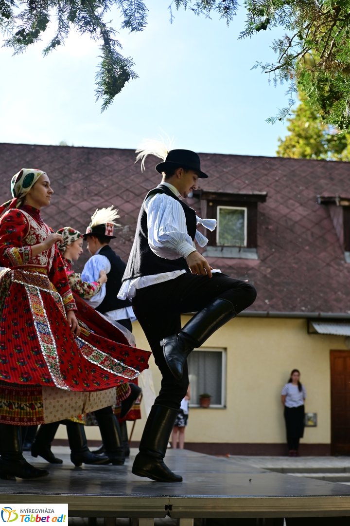 Jubileum a Váci Mihály Általános Iskolában - 2026 szeptember