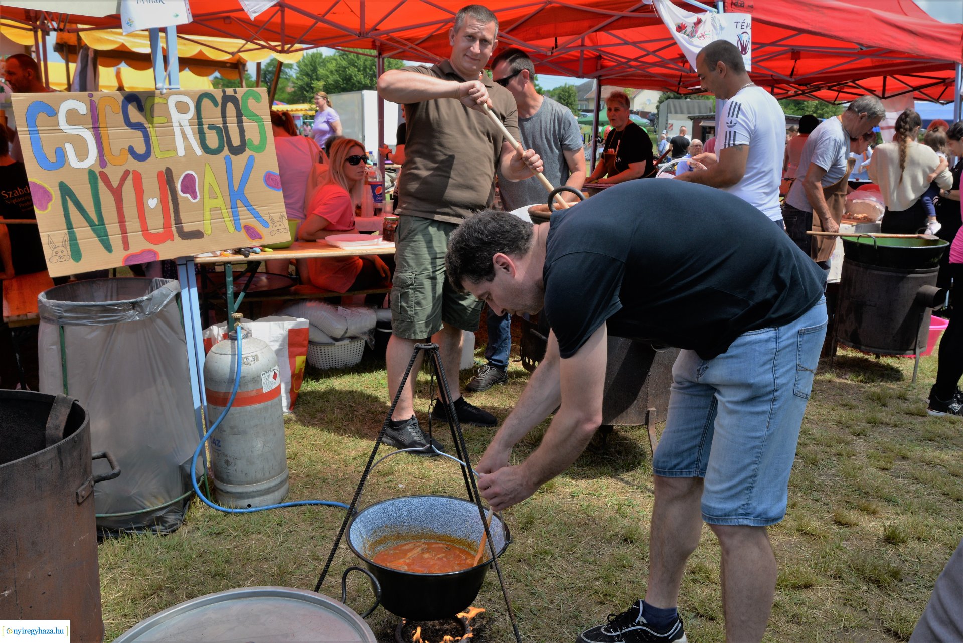Jubileumi Fakanál fesztivál Nyírszőlősön