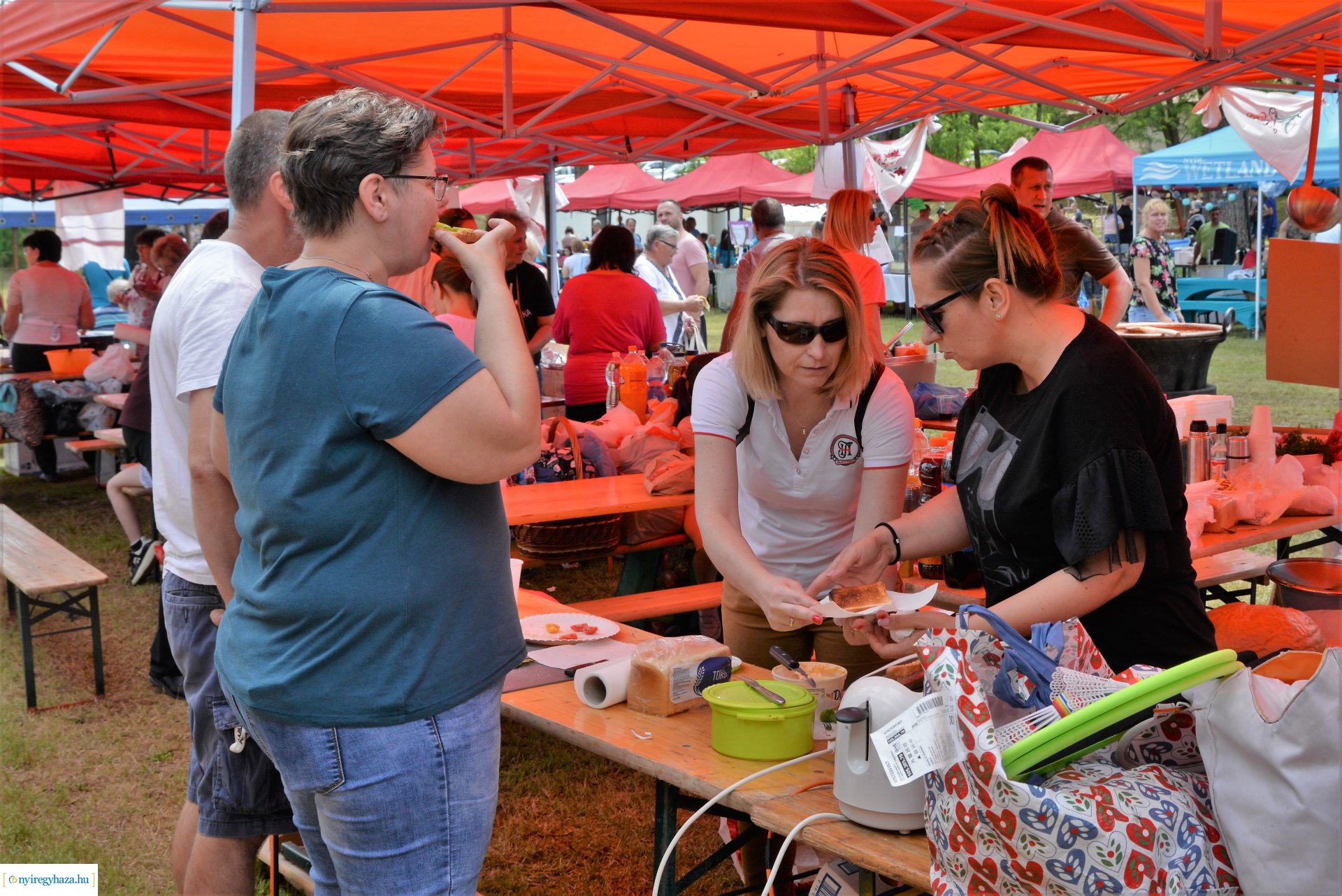 Jubileumi Fakanál fesztivál Nyírszőlősön