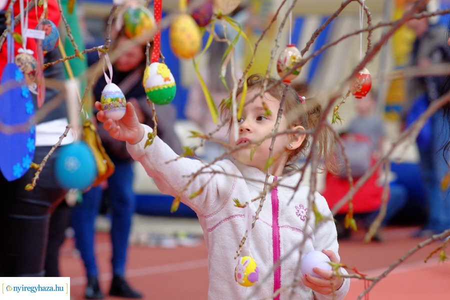 Jubileumi nyuszifutás 2023