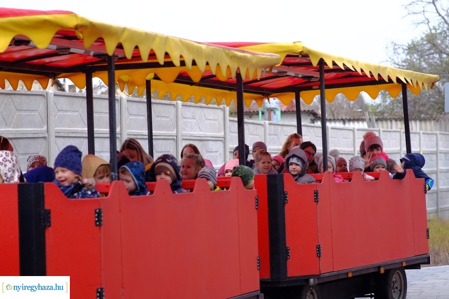 Jubileumi nyuszifutás 2023