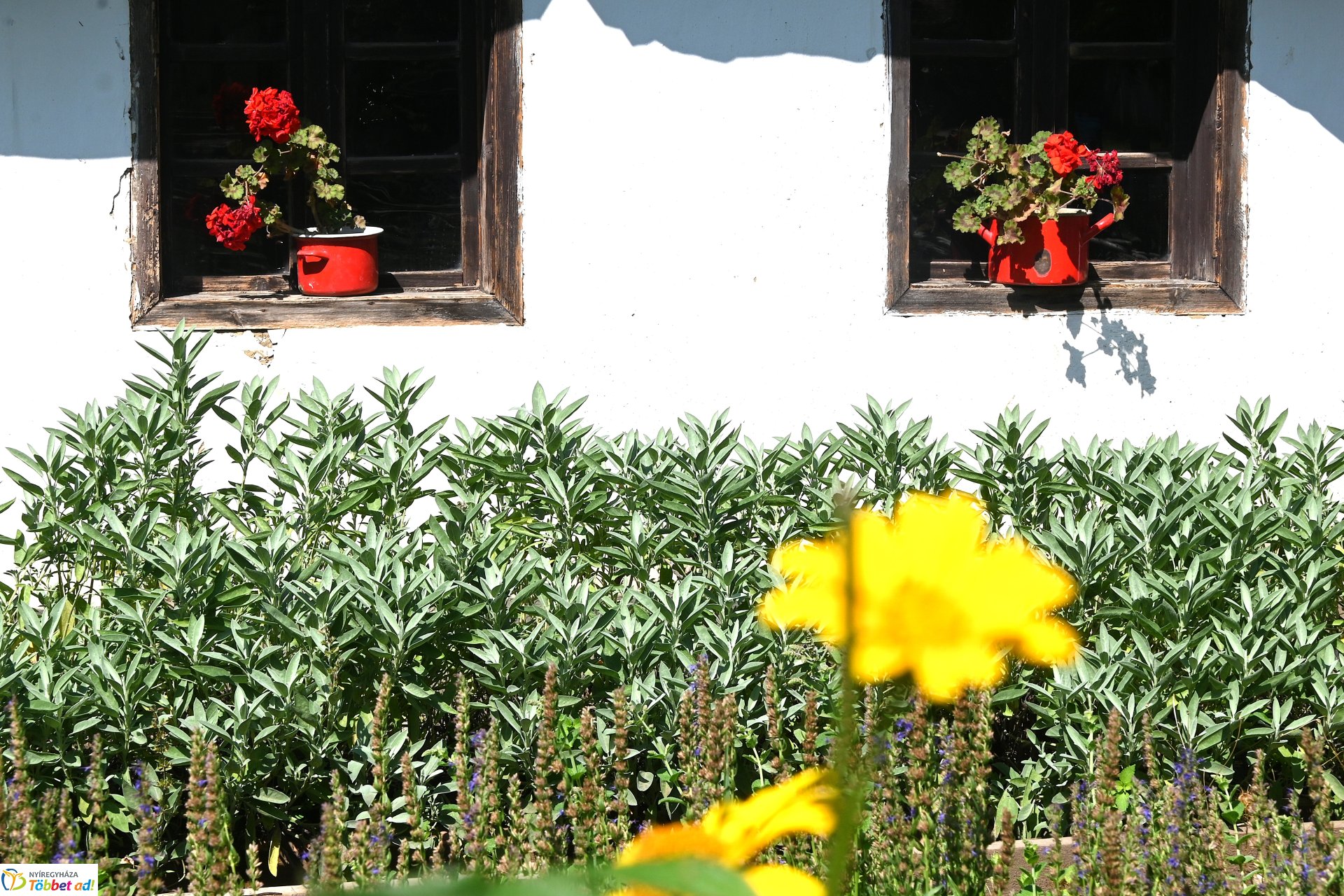 Juliális 2025 - Vasutasnap a Sóstói Múzeumfaluban