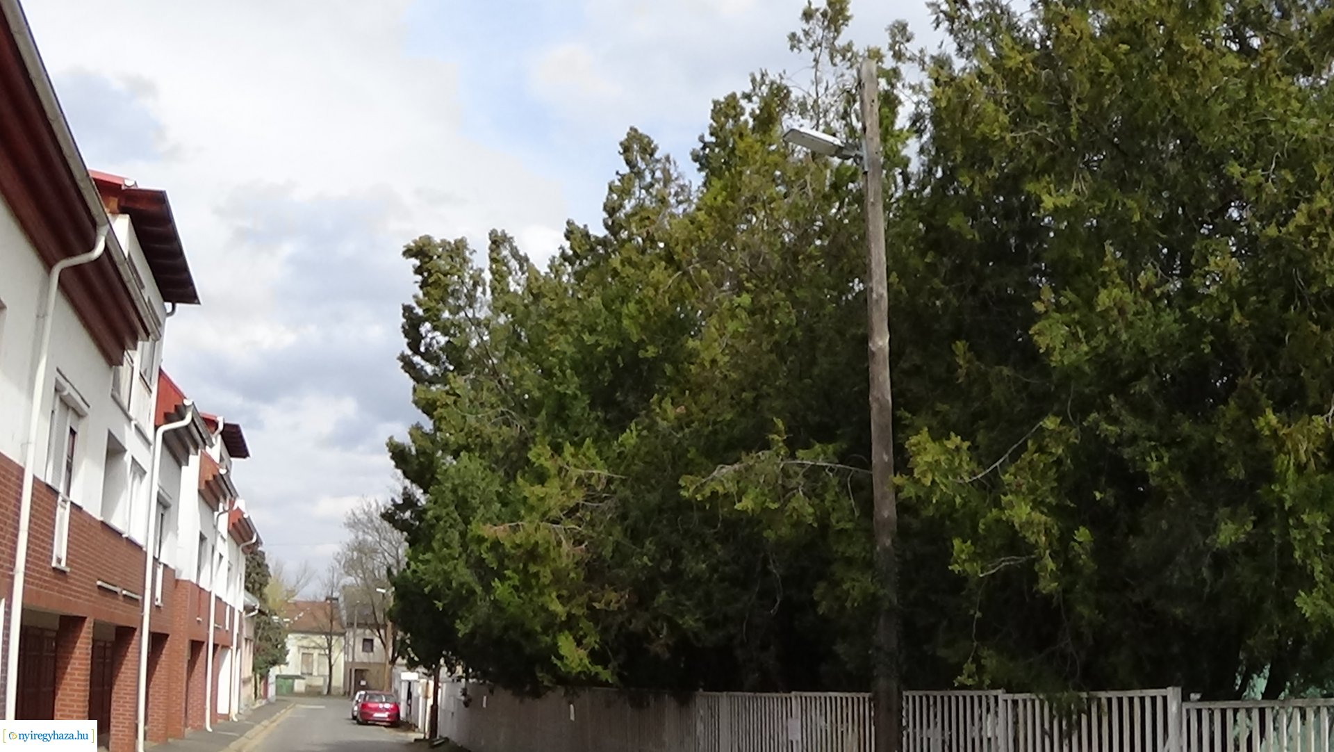  Kálmán utcán gallyazási munkákat végeznek szombaton