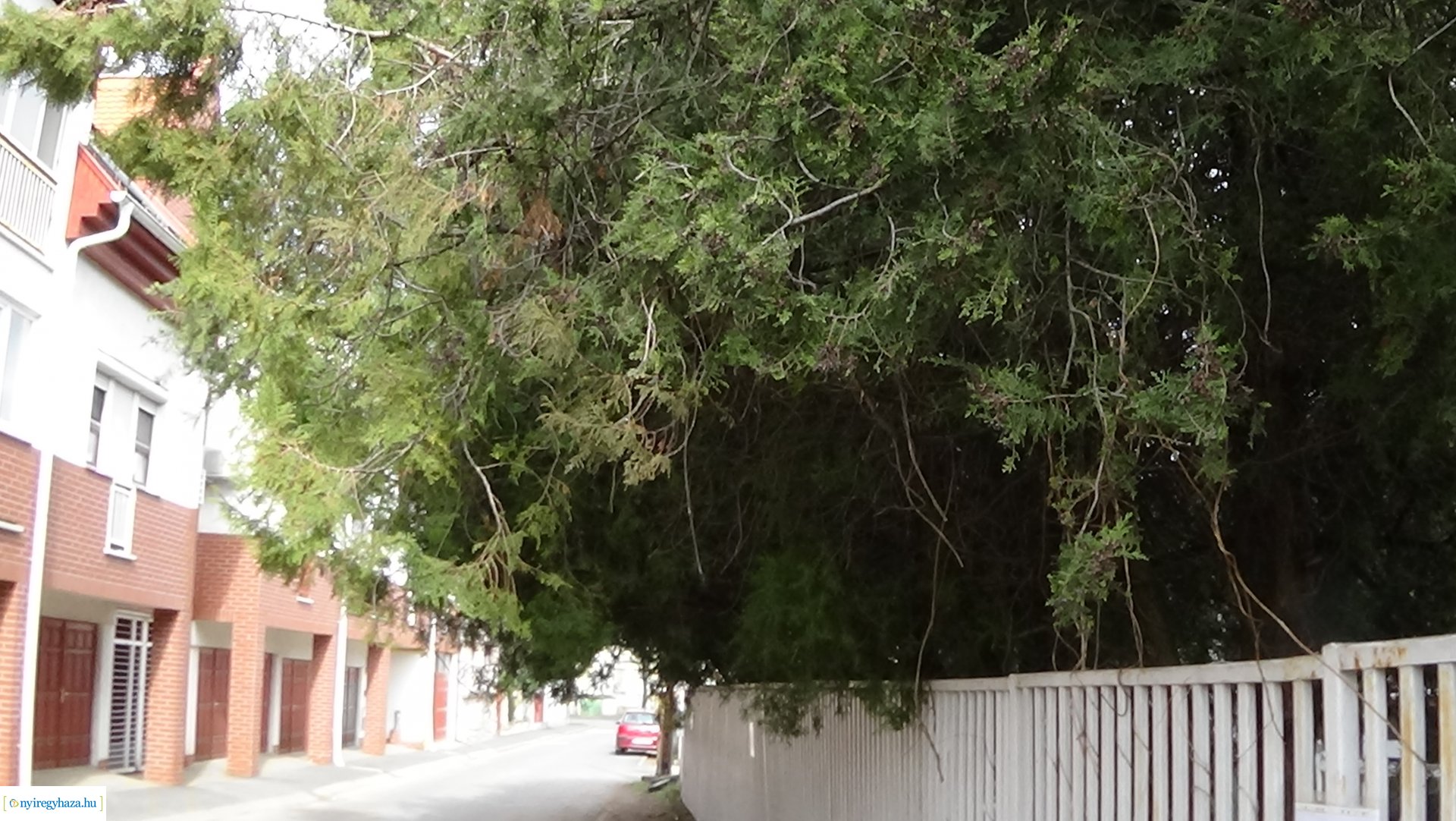  Kálmán utcán gallyazási munkákat végeznek szombaton