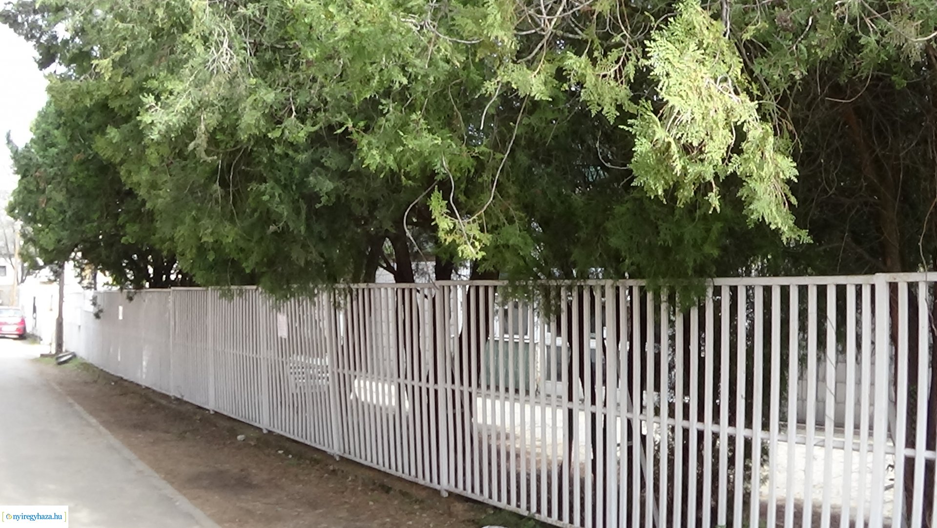  Kálmán utcán gallyazási munkákat végeznek szombaton