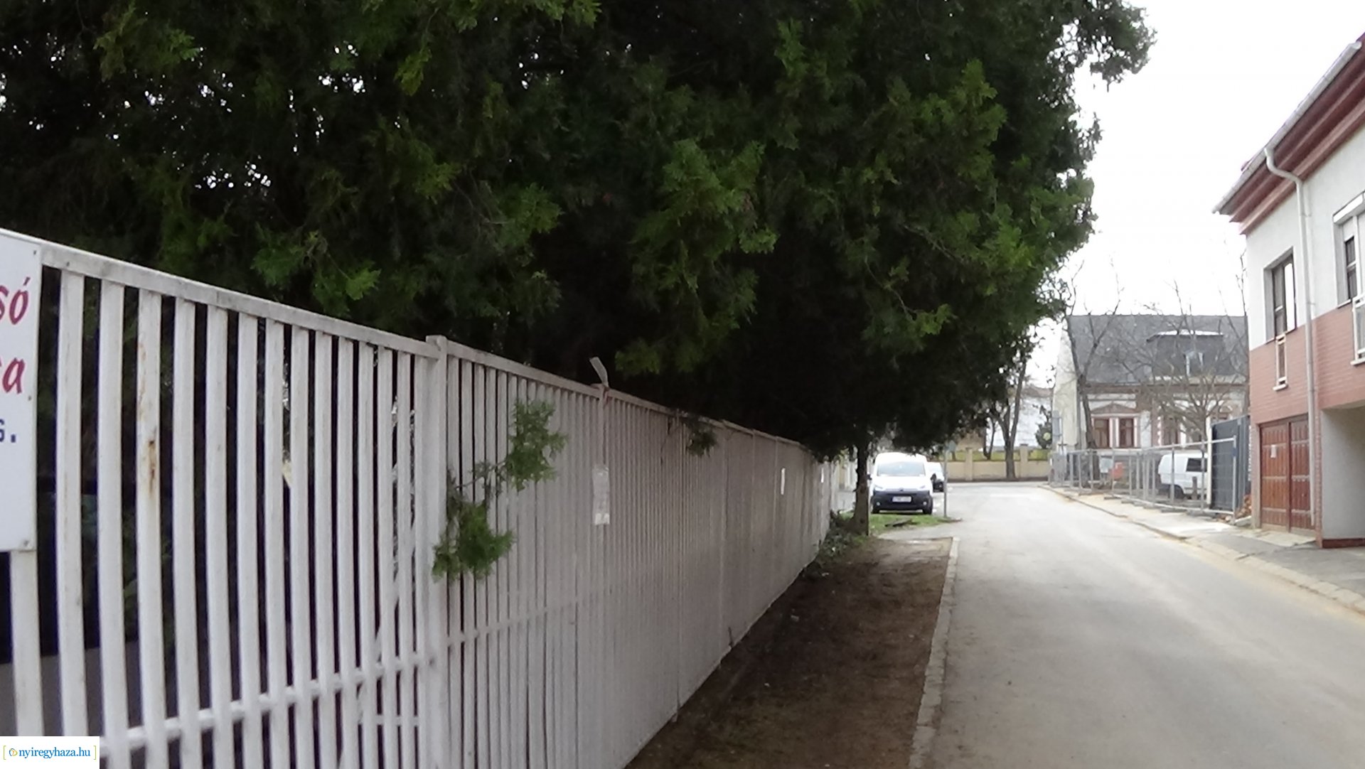  Kálmán utcán gallyazási munkákat végeznek szombaton