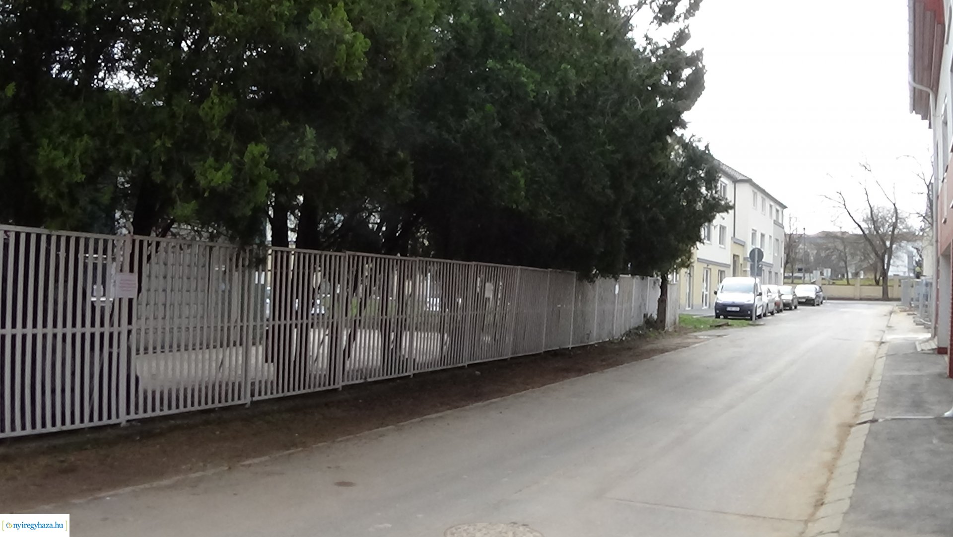  Kálmán utcán gallyazási munkákat végeznek szombaton