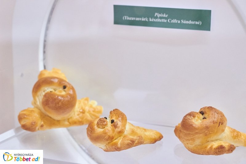 Kamarakiállítás a múzeumban 20190329